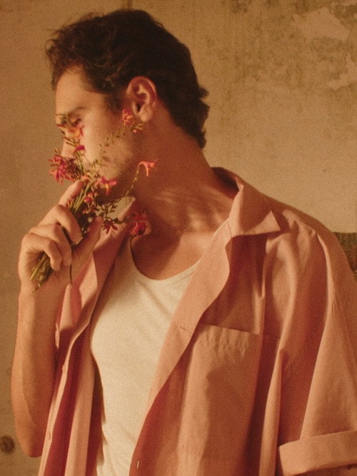 Movie poster for Fever Dream
