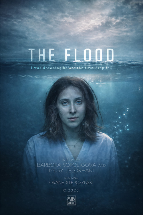 Movie poster for The Flood