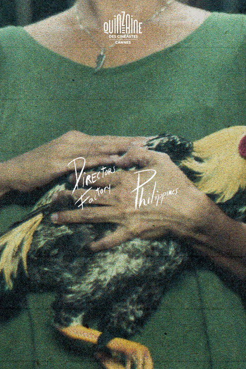Movie poster for Nightbirds (2024)