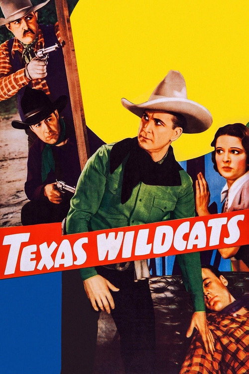 Movie poster for Texas Wildcats (1939)