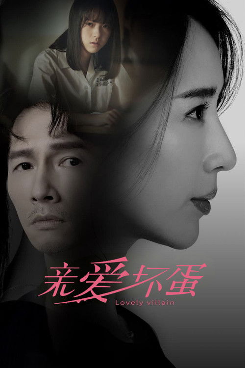 Lovely Villain poster