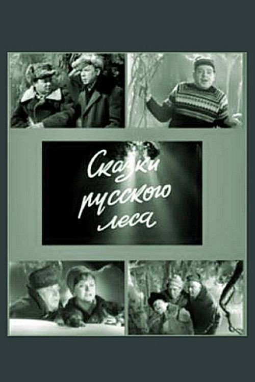 Movie poster for Сказки русского леса (1967)
