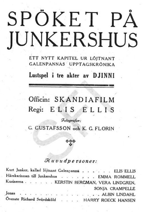 Movie poster for The Ghost of Junkershus (1918)