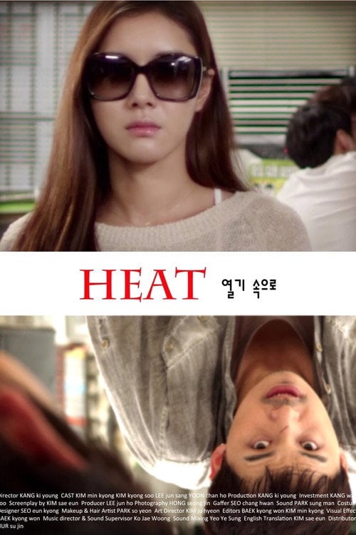 Movie poster for Heat (2013)