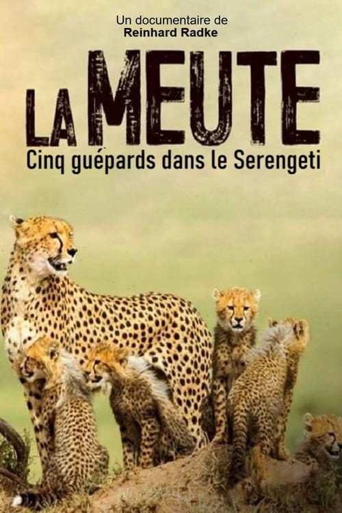 Movie poster for Die fünf Geparde - Gemeinsam durch die Serengeti (2019)