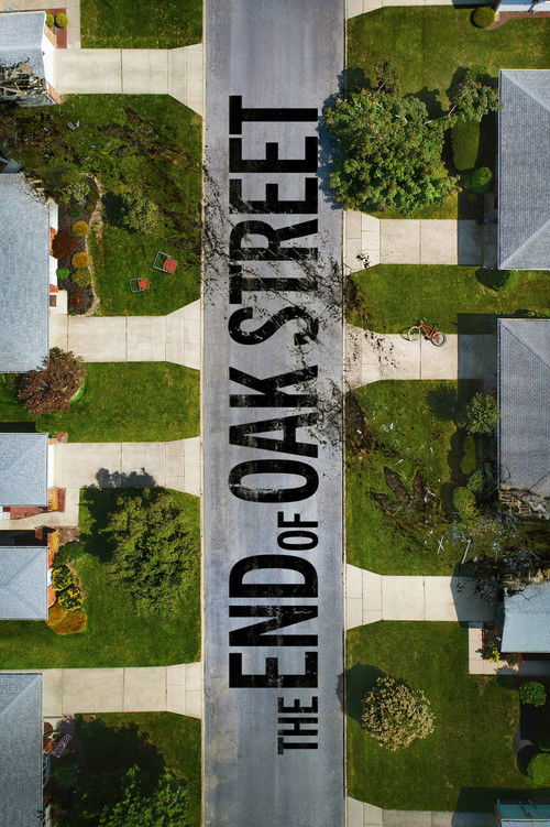 Movie poster for The End of Oak Street (2026)