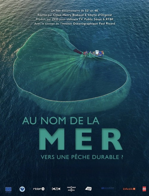 Movie poster for Au nom de la mer : vers une pêche durable ? (2025)