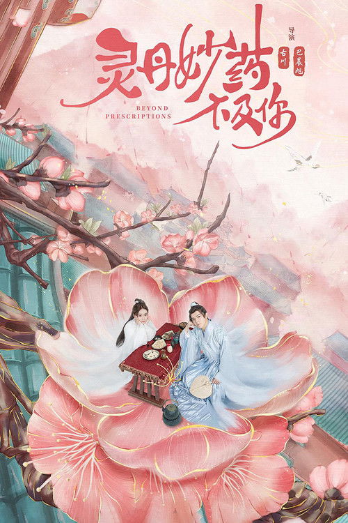 Beyond Prescriptions poster