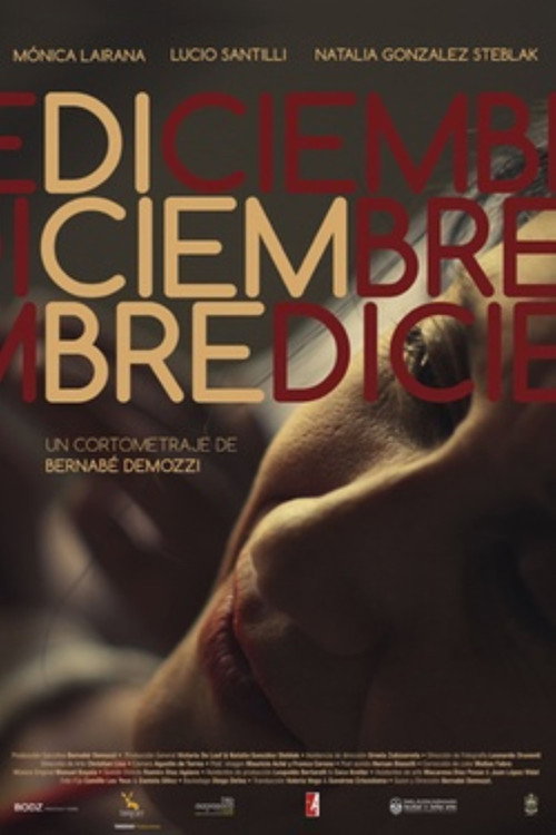 Movie poster for Diciembre (2013)