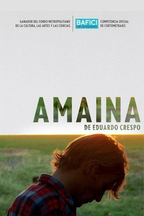 Movie poster for Amaina (2010)