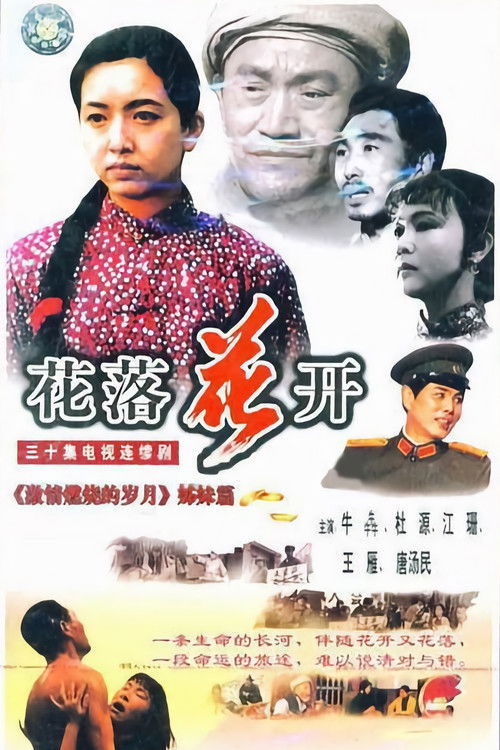 花落花开 poster