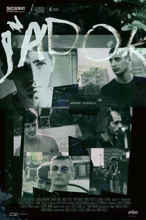 Movie poster for J'ador (2021)
