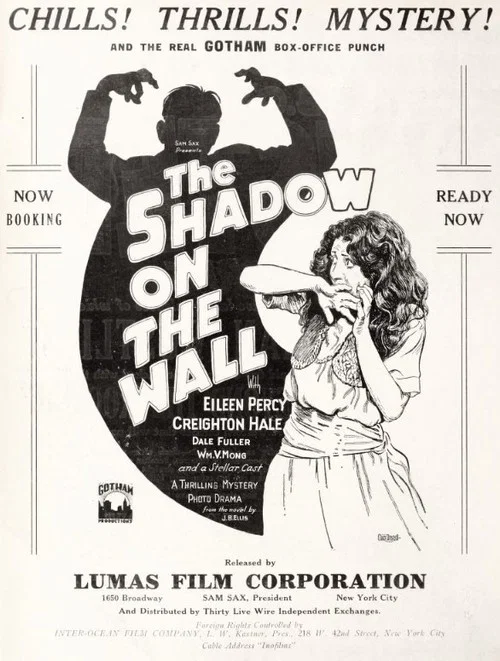 Movie poster for The Shadow on the Wall (1925)