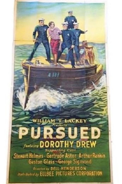 Movie poster for Pursued (1925)