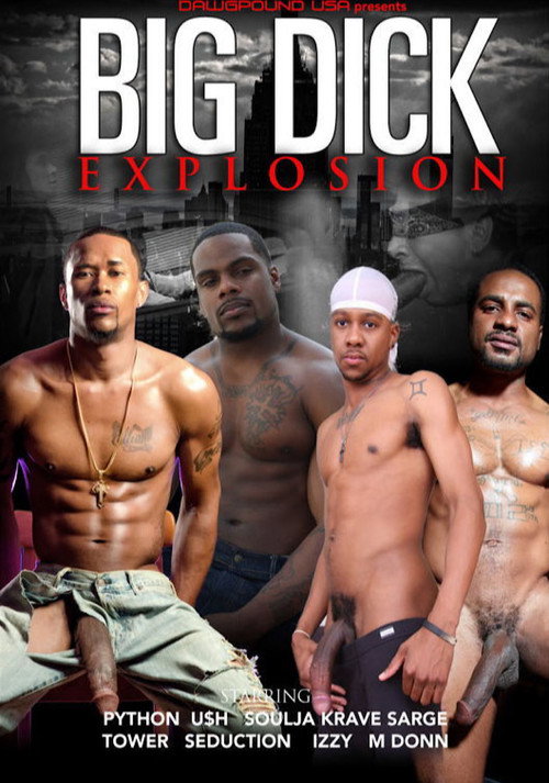 Movie poster for Big Dick Explosion (2014)
