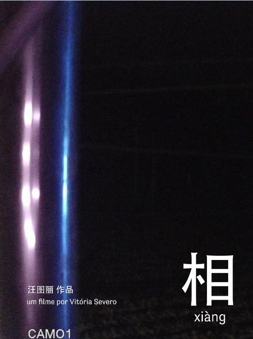 Movie poster for 相 xiàng (2022)
