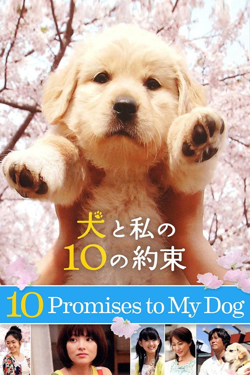 Movie poster for 10 Promises to My Dog (2008)