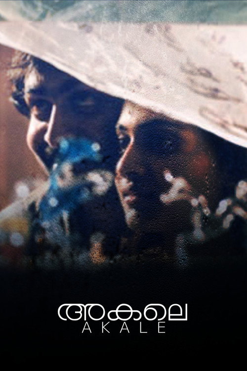 Movie poster for Akale (2004)