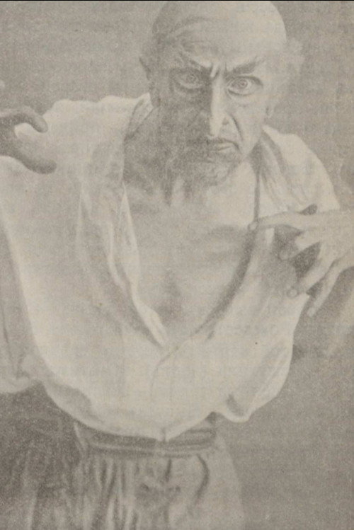 Movie poster for A Terrible Revenge (1913)