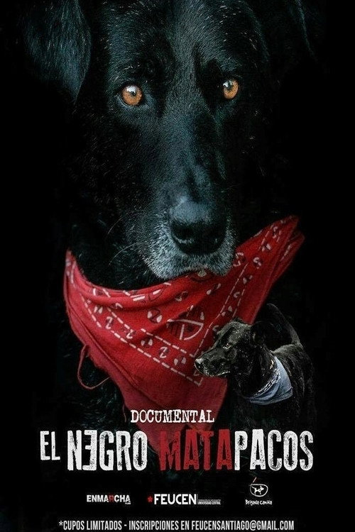 Movie poster for Matapaco (2013)