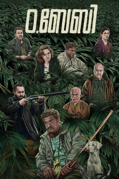 Movie poster for O.Baby (2023)