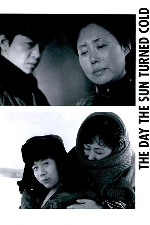 Movie poster for The Day the Sun Turned Cold (1994)