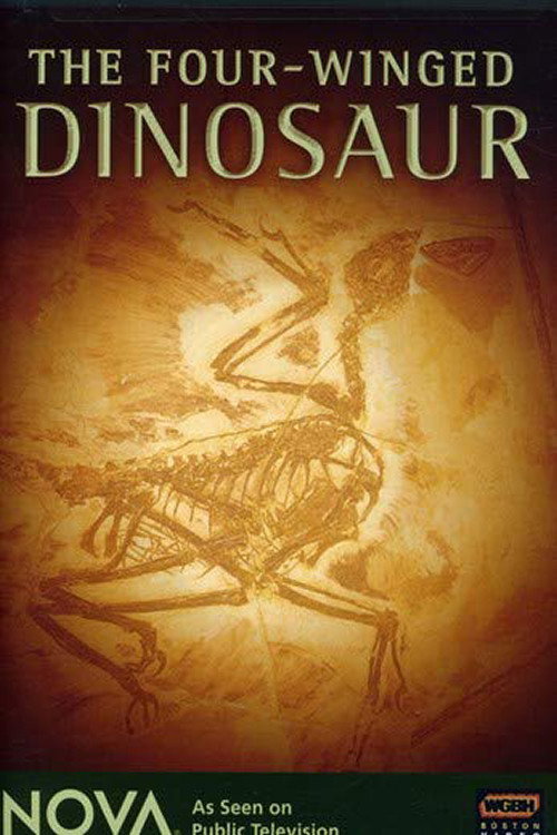 Movie poster for The Four-Winged Dinosaur (2008)