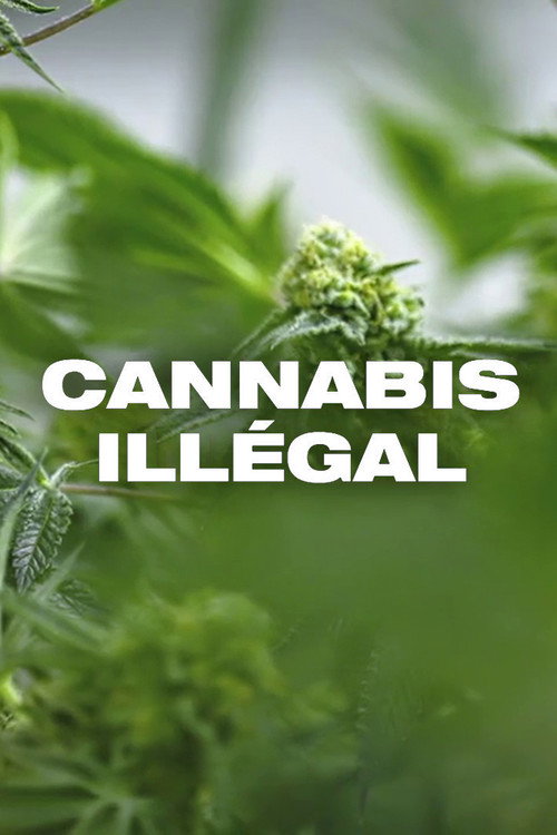Movie poster for Cannabis illégal (2019)