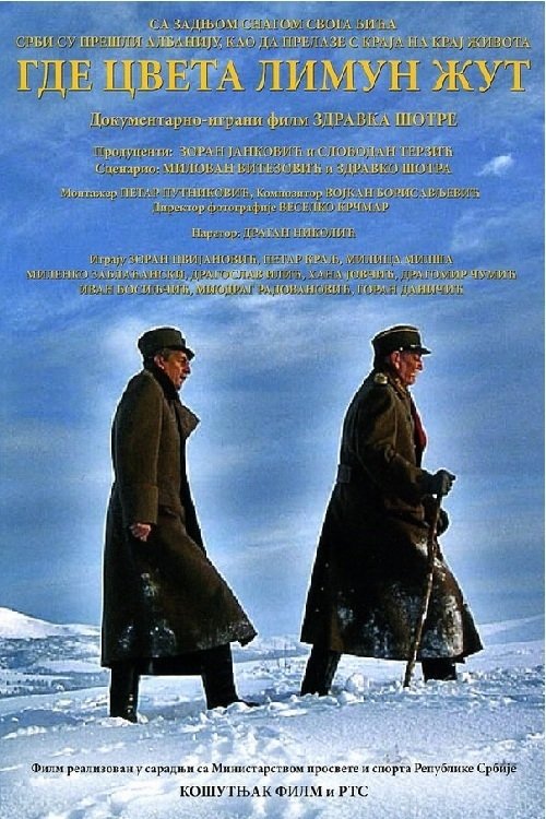 Movie poster for Where the Yellow Lemon Blooms (2006)