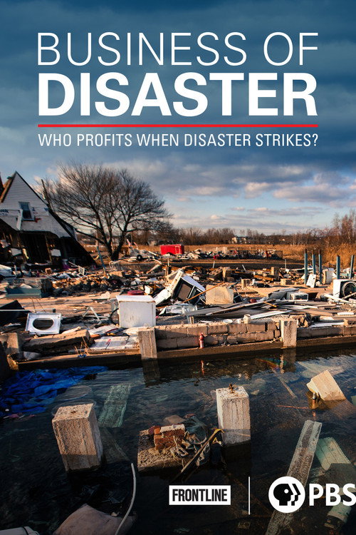 Movie poster for Business of Disaster (2016)