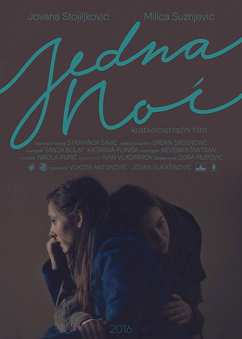Movie poster for One Night (2016)