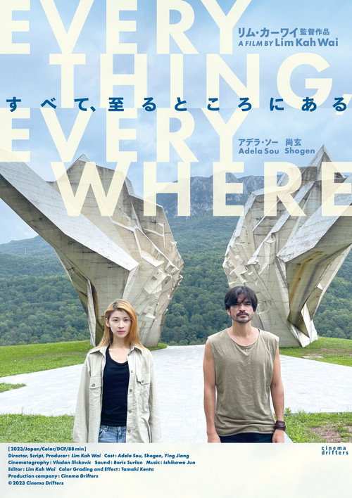 Movie poster for Everything, Everywhere (2023)