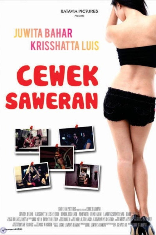 Movie poster for Gratuity Girl (2011)