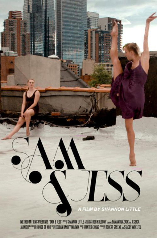 Movie poster for Sam & Jess (2017)
