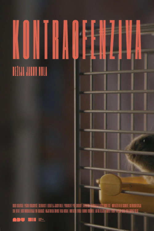 Movie poster for Counter-offensive