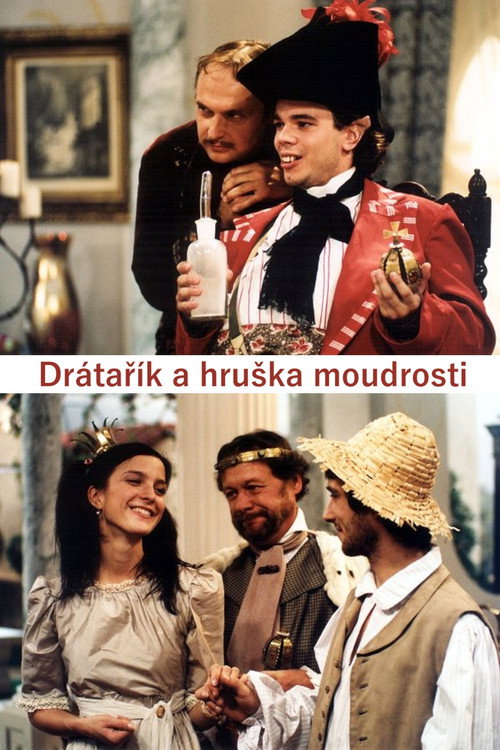 Movie poster for Drátařík a hruška moudrosti (2003)