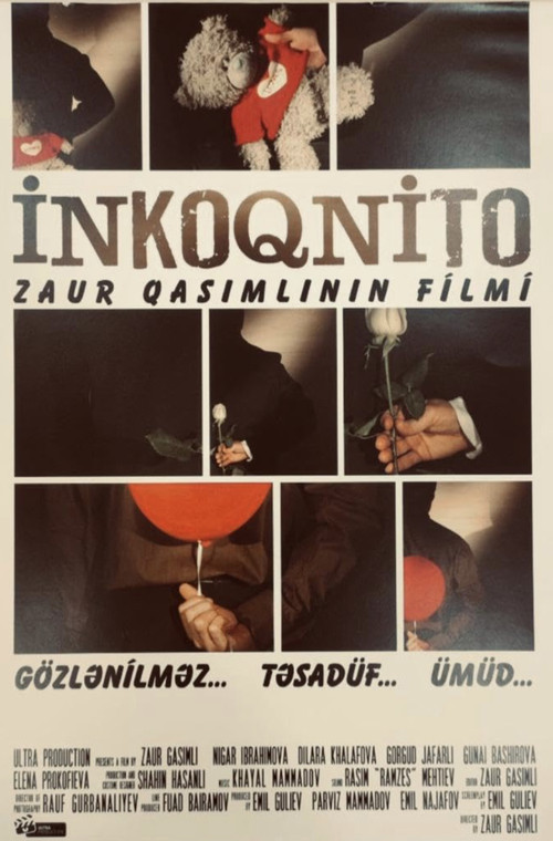 Movie poster for Incognito (2012)