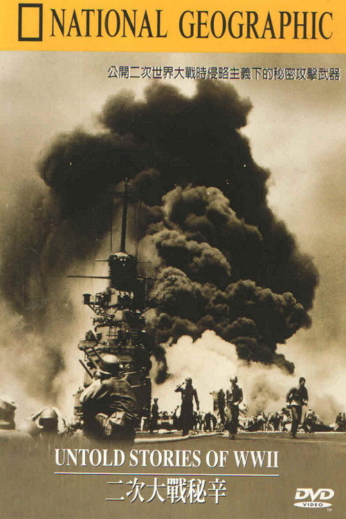 Movie poster for Untold Stories of WWII