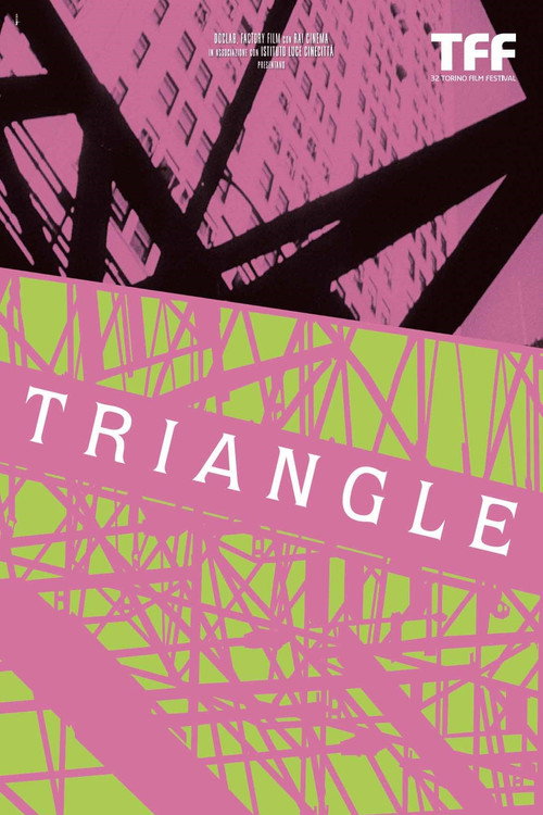 Movie poster for Triangle (2014)