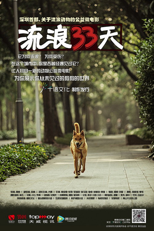 Movie poster for 流浪33天 (2013)