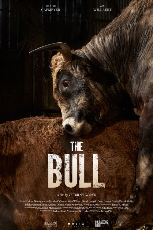 Movie poster for The Bull (2024)