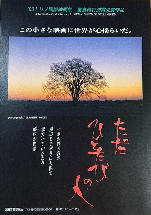 Movie poster for Just One Time (1995)