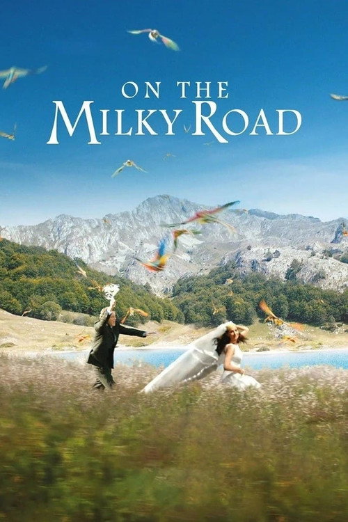 Movie poster for On the Milky Road (2016)