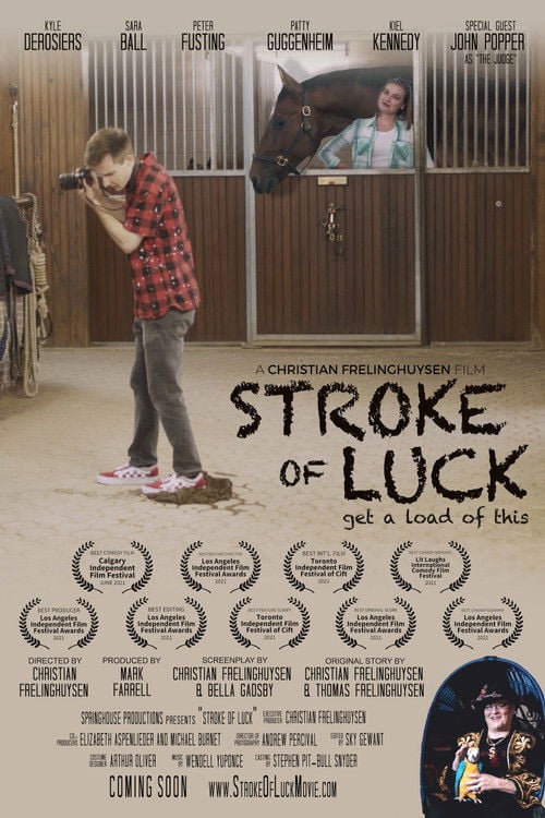 Movie poster for Stroke of Luck (2022)