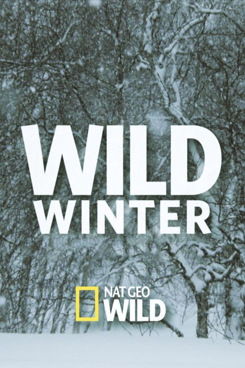 Movie poster for Wild Winter (2016)