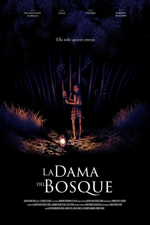 Movie poster for The Lady in the Forest