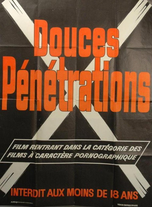 Movie poster for Sweet Penetrations (1976)