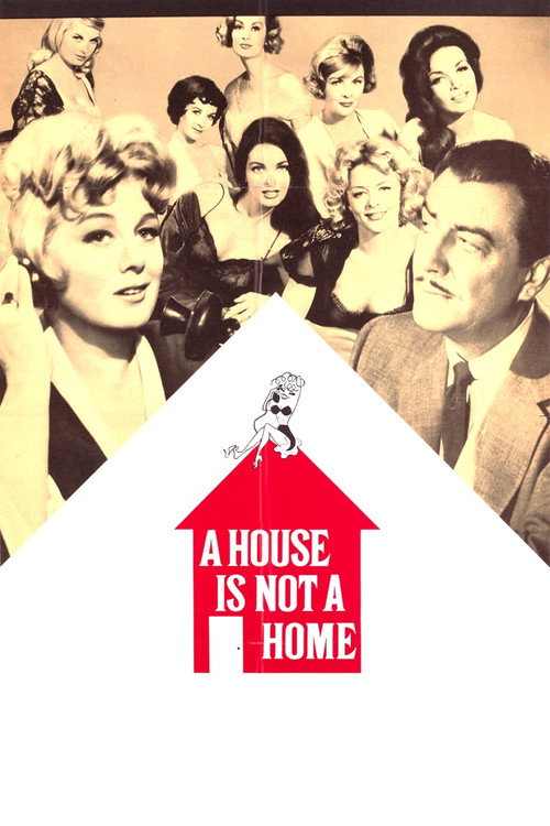 Movie poster for A House Is Not a Home (1964)