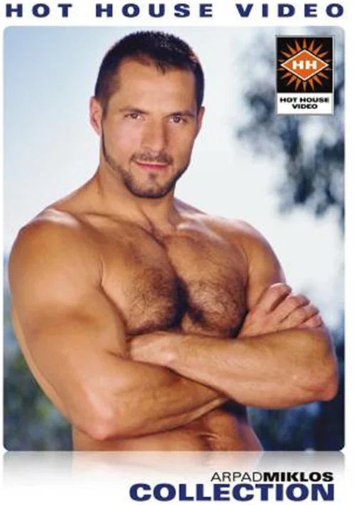 Movie poster for Arpad Miklos Collection (2003)
