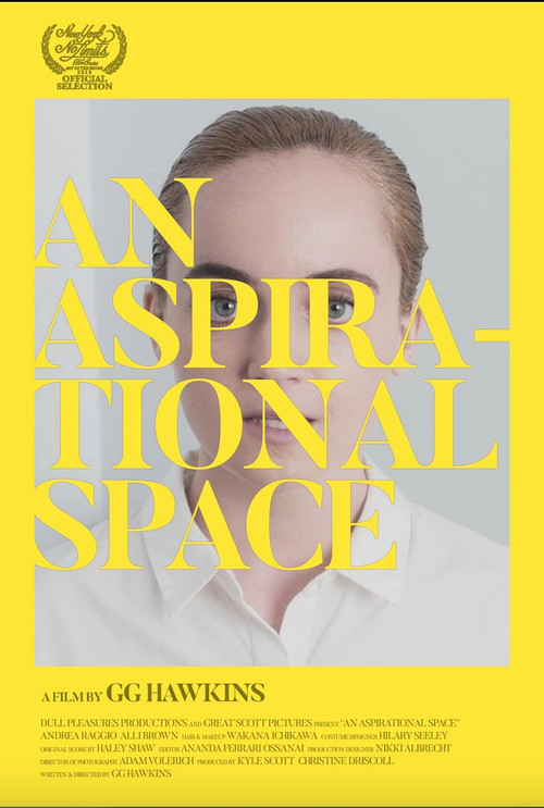 Movie poster for An Aspirational Space (2019)